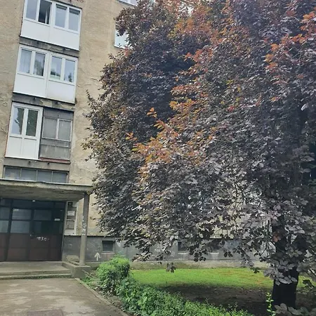 Charm A * Sarajevo